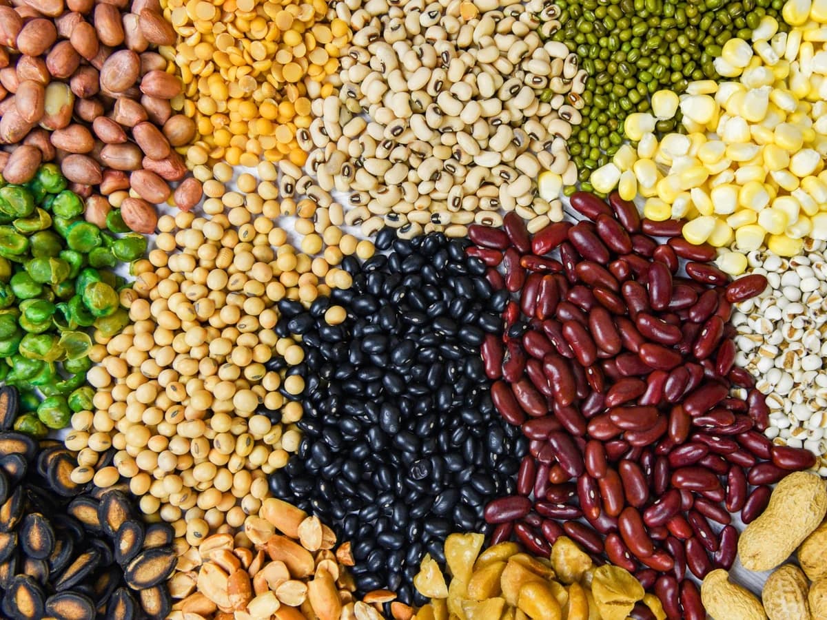 Legumi, frutta secca e semi di vario tipo visti dall’alto.